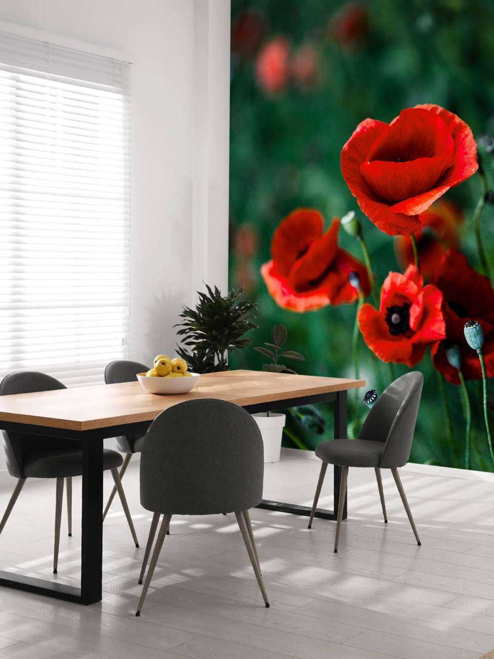 Mohn und Gras