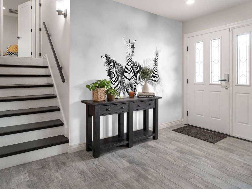 Zebras