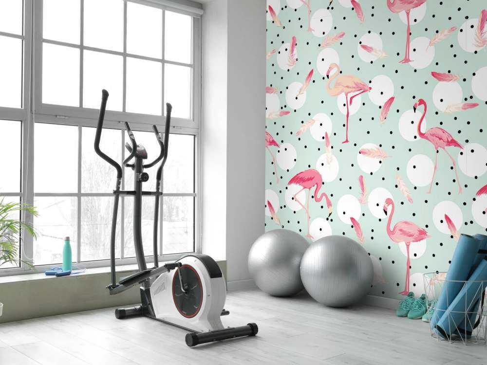 Flamingos und Federn