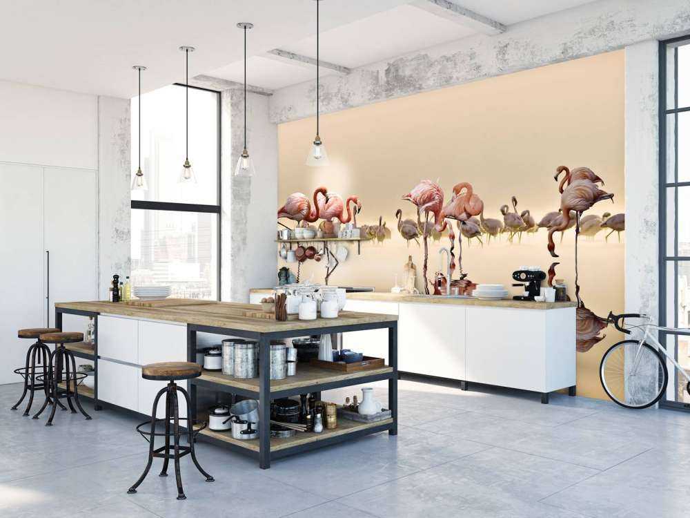 Flamingo Family
