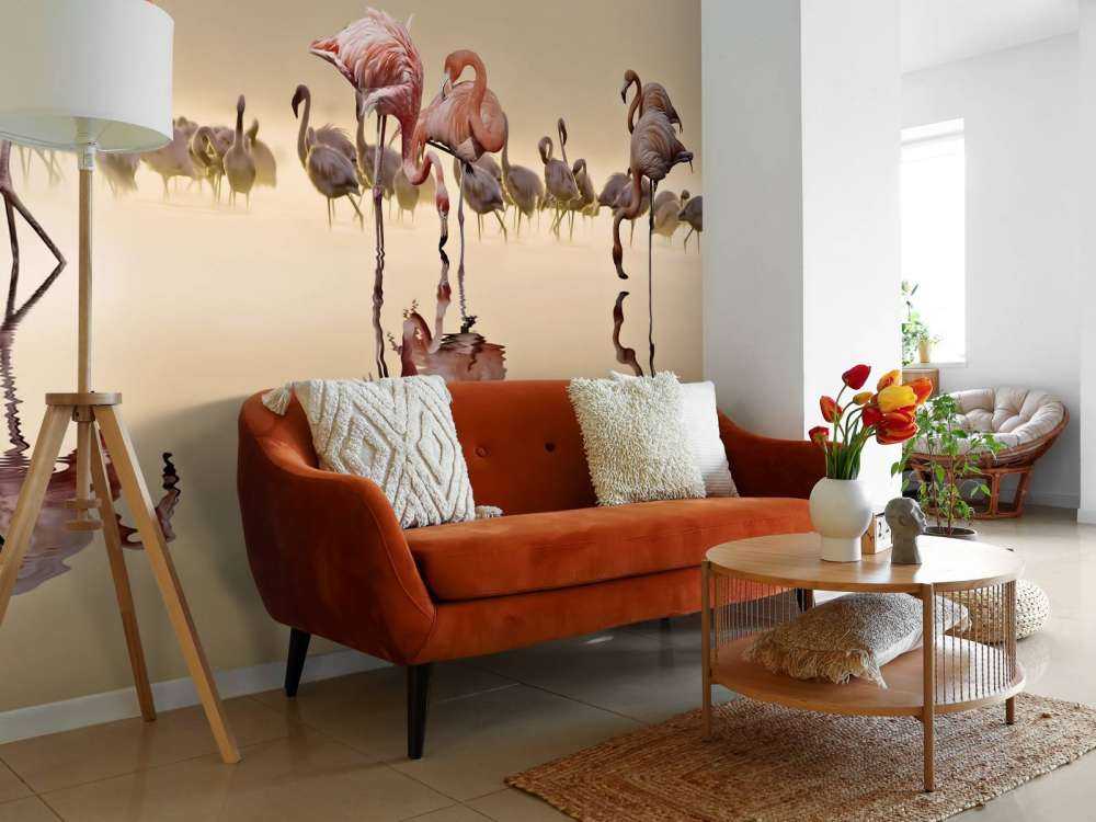 Flamingo Family