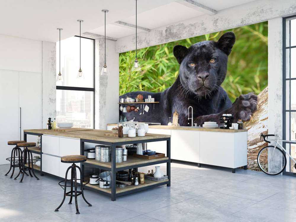 Schwarzer Panther auf einem Baum