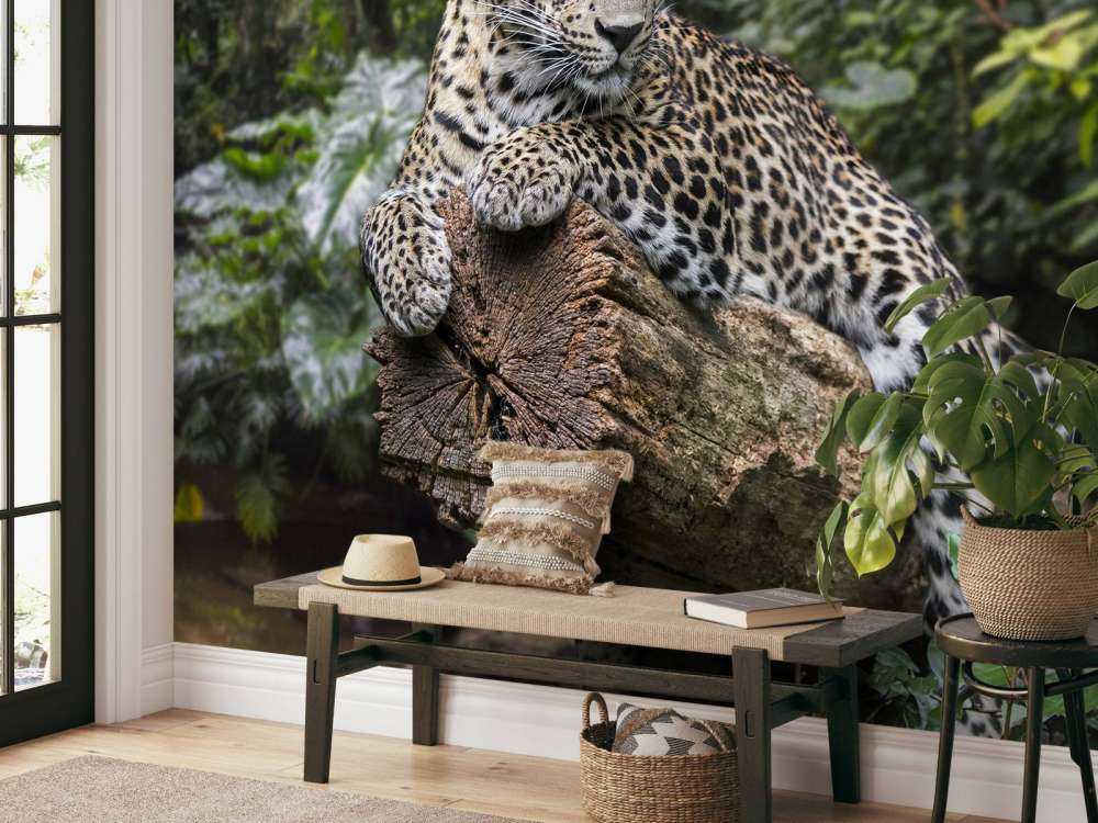 Leopard auf Baum