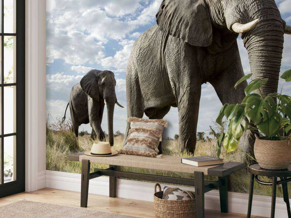 Vorbeiziehende Elefanten