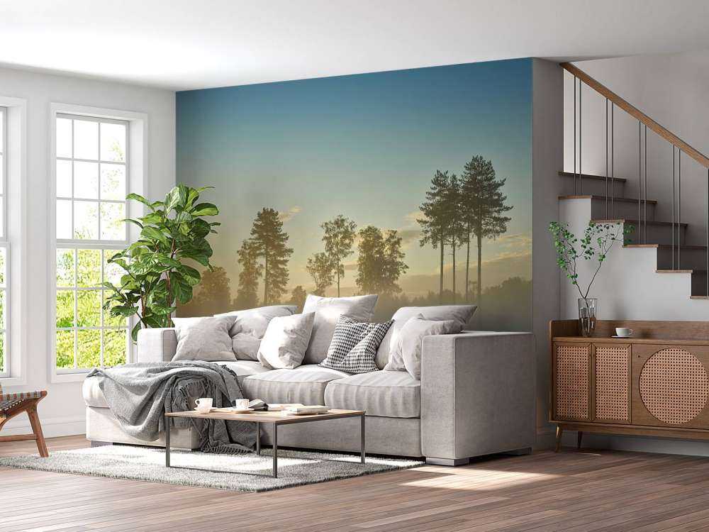 Neblige Moorlandschaft