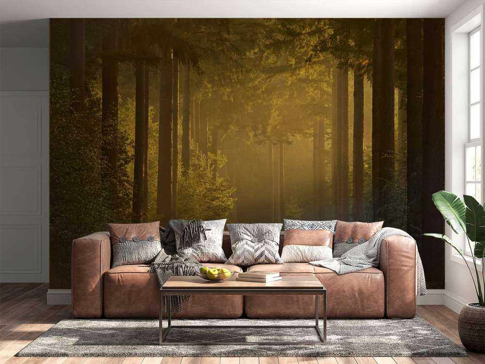 Sonnenaufgang auf dem Weg durch den Wald
