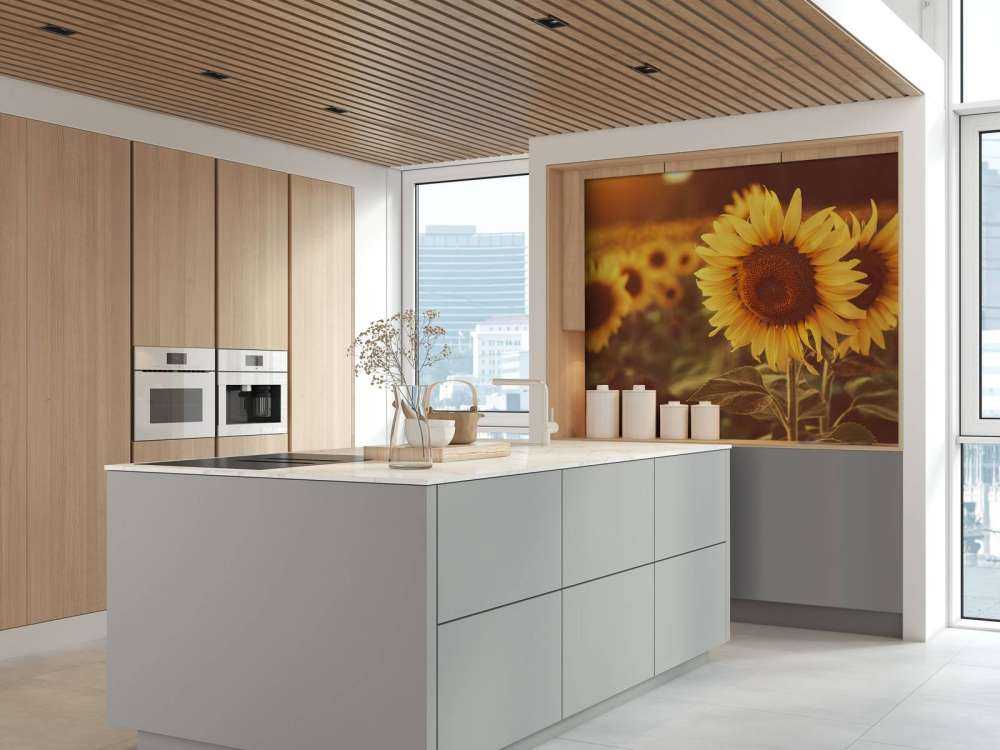 Sonnenblumen im Sonnenlicht