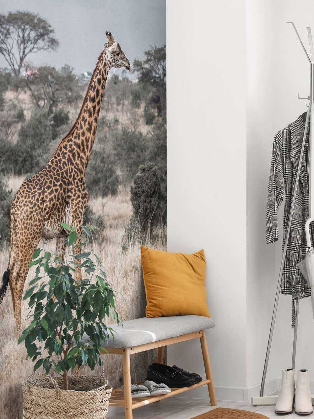 Giraffen-Portrait