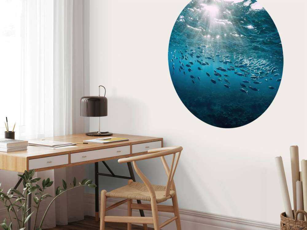 Fischschwarm
