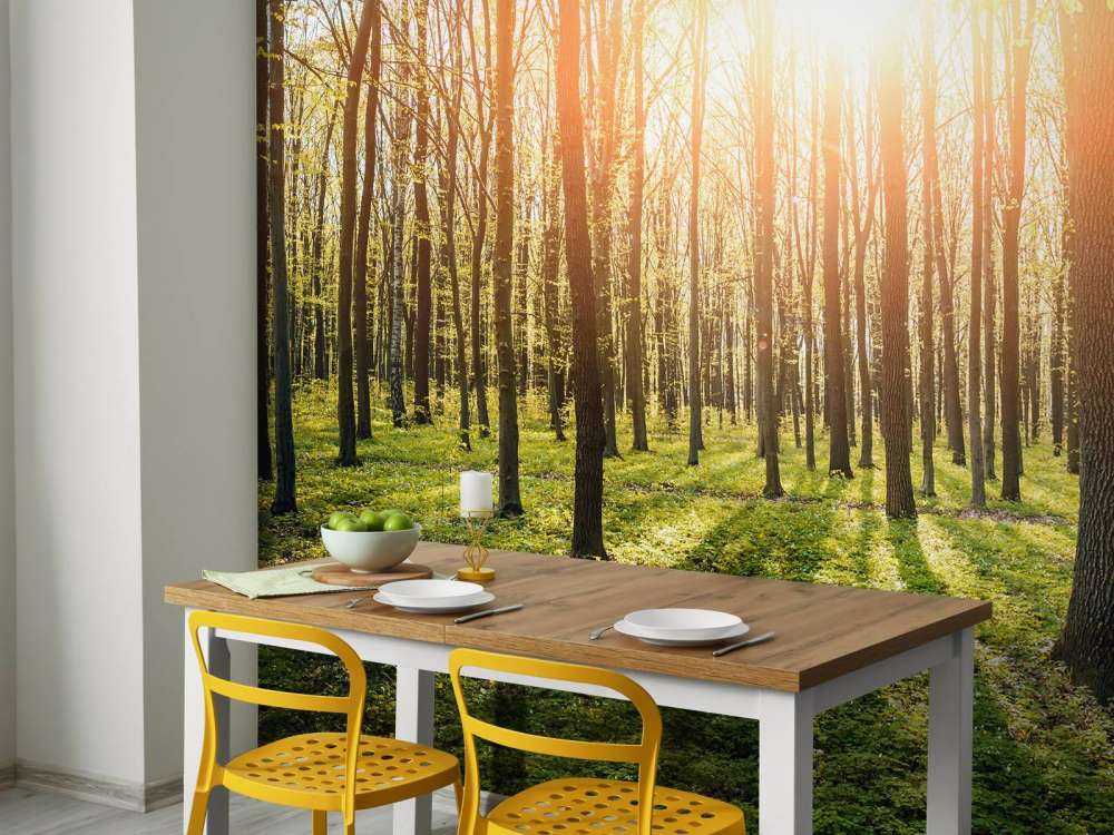 Sonnenstrahlen im Wald