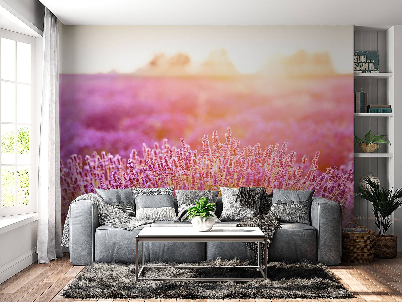 Nahaufnahme Lavendelblüten