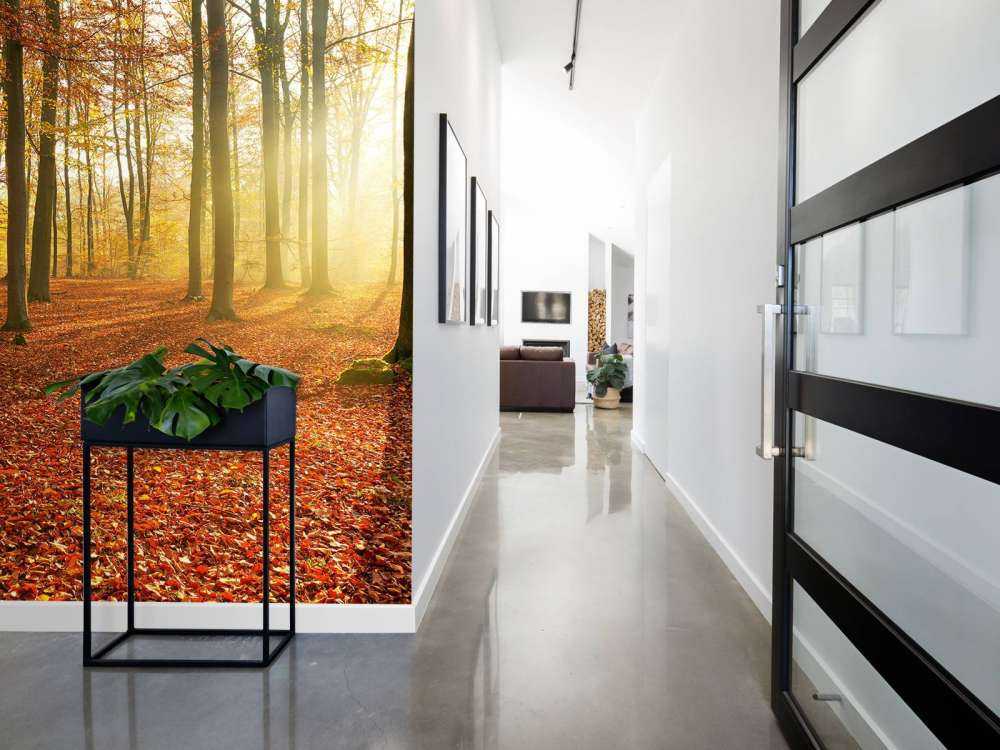 Herbstmorgen im Wald