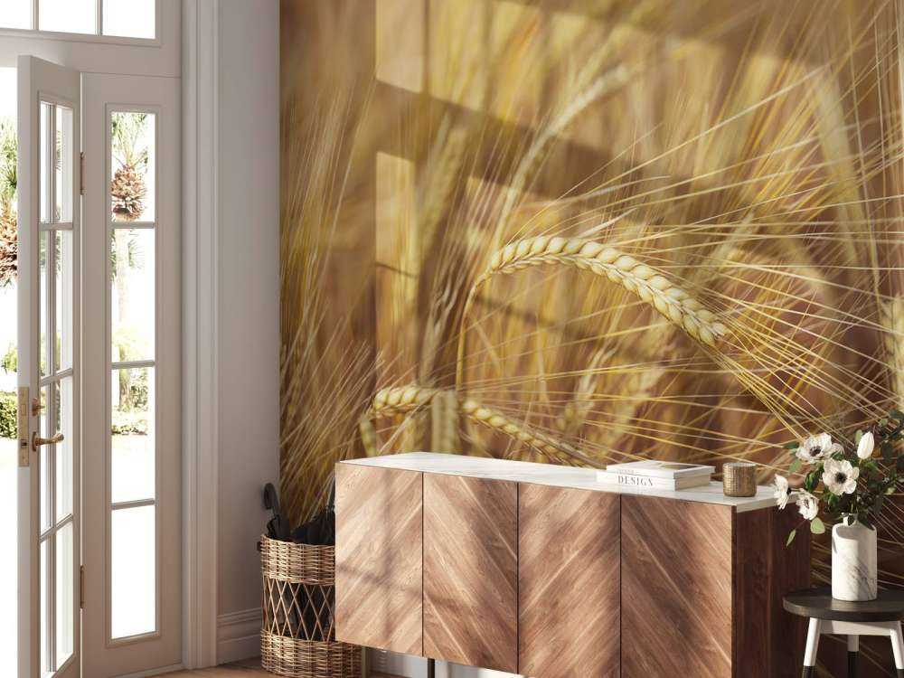 Wheat Field