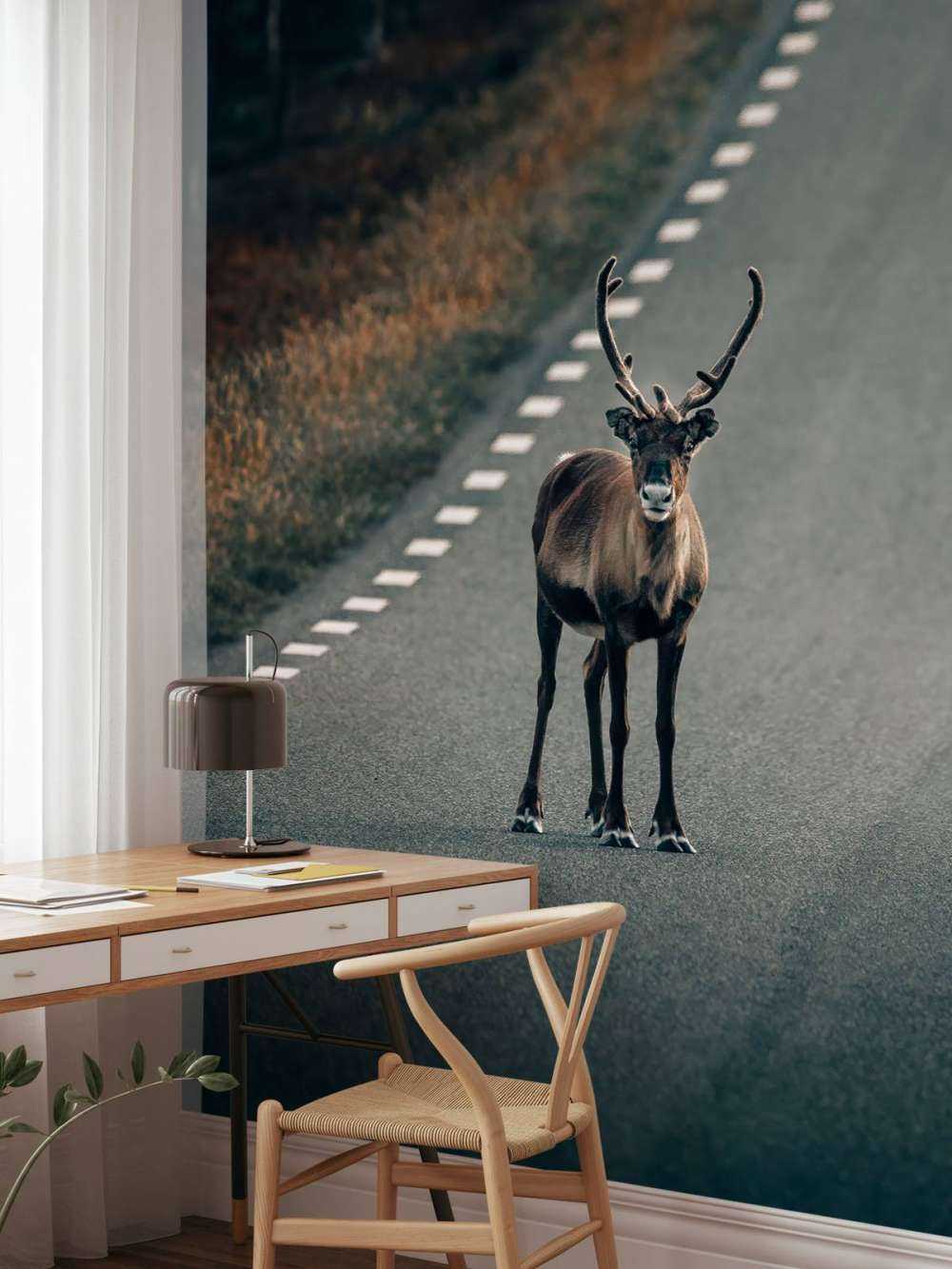 Rentiere auf der Straße