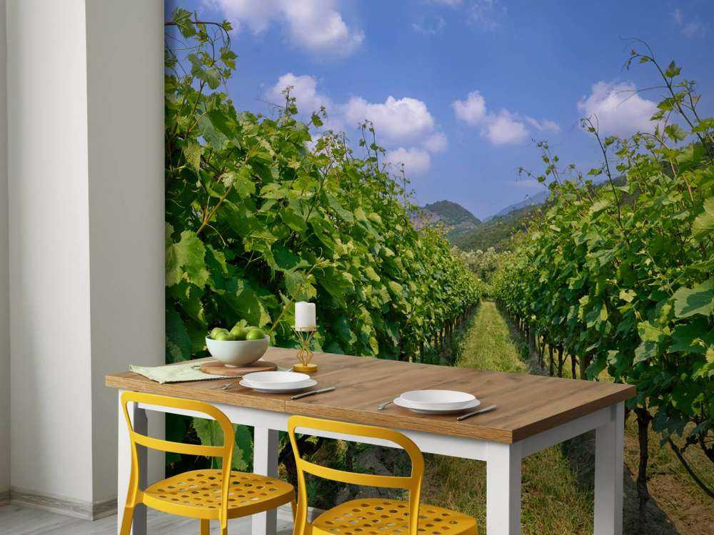 Weinberg in Italien