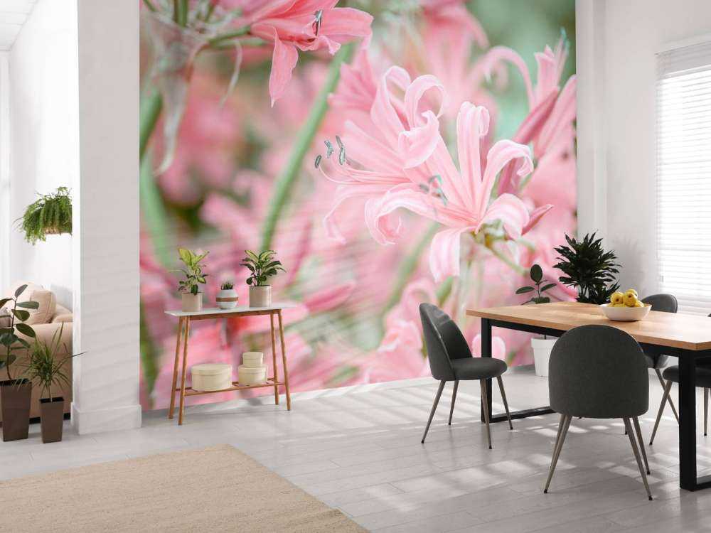 Nerine Blumen