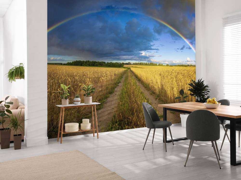 Regenbogen über einem Weizenfeld