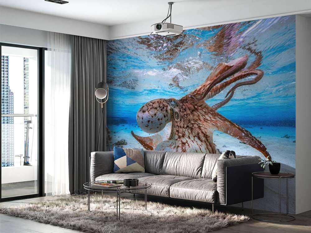 Dancing Octopus