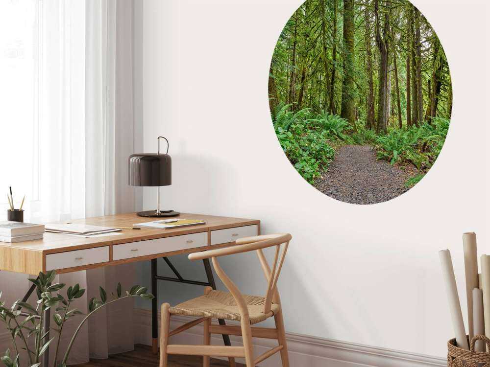 Weg mit Steinen durch den Wald 