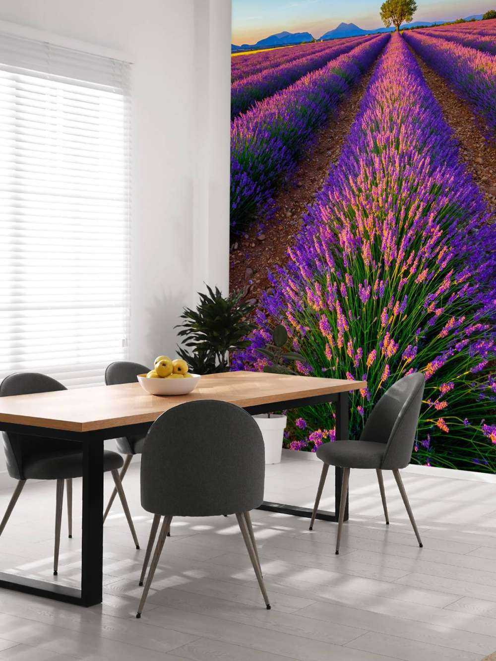 Lavendel im Sonnenlicht