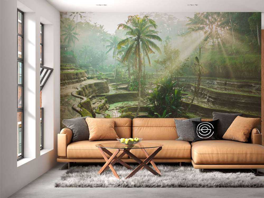 Reisfelder im Dschungel