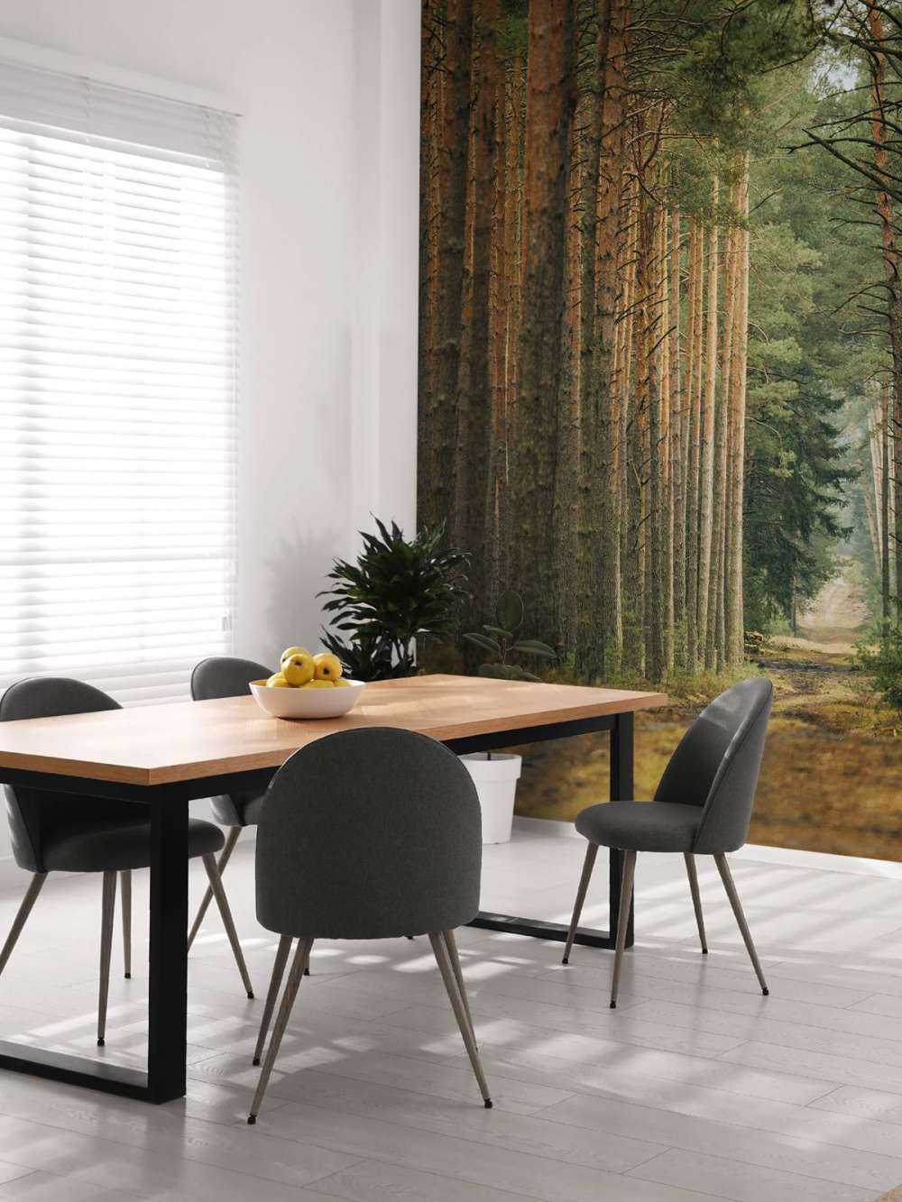 The Forest road 2