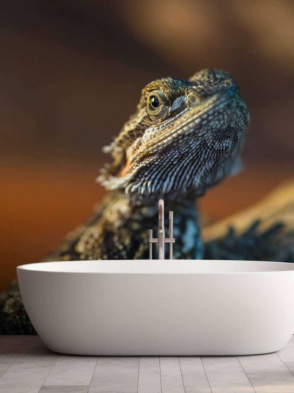 Nahaufnahme Chamäleon