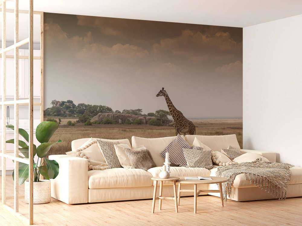 Giraffe in der Savanne