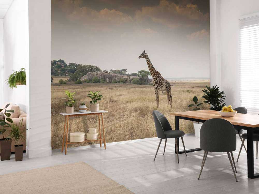 Giraffe in der Savanne