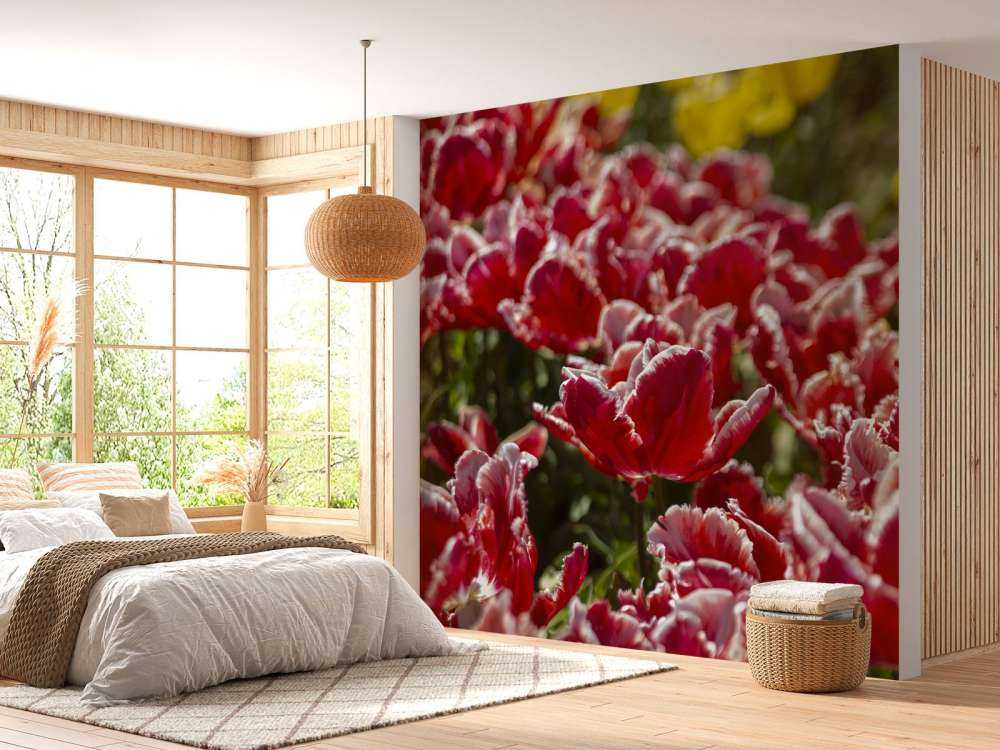 Rote Tulpen