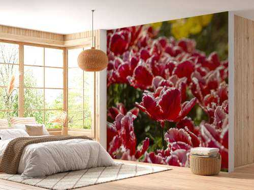 Rote Tulpen
