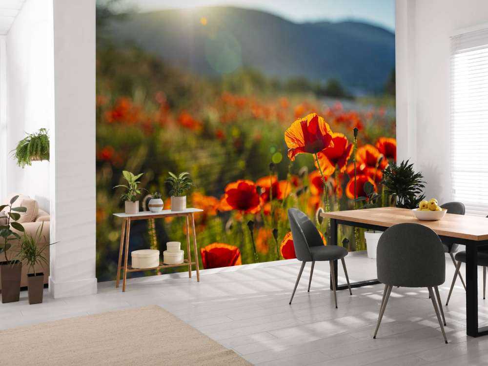 Mohnblumen mit Sonnenstrahlen