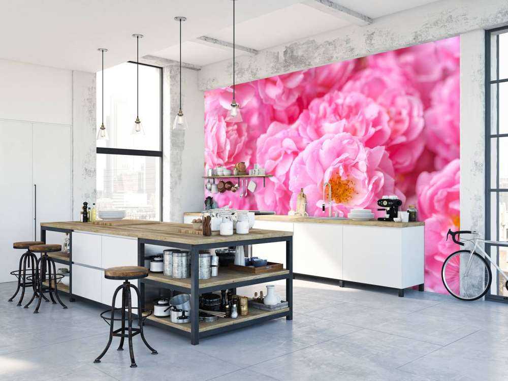 Mehrere rosa Rosen
