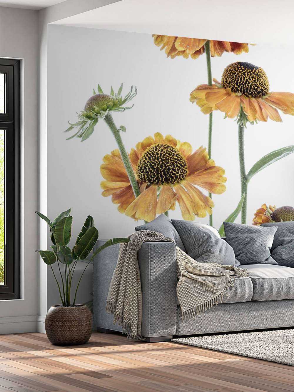 Gelbe Helenium