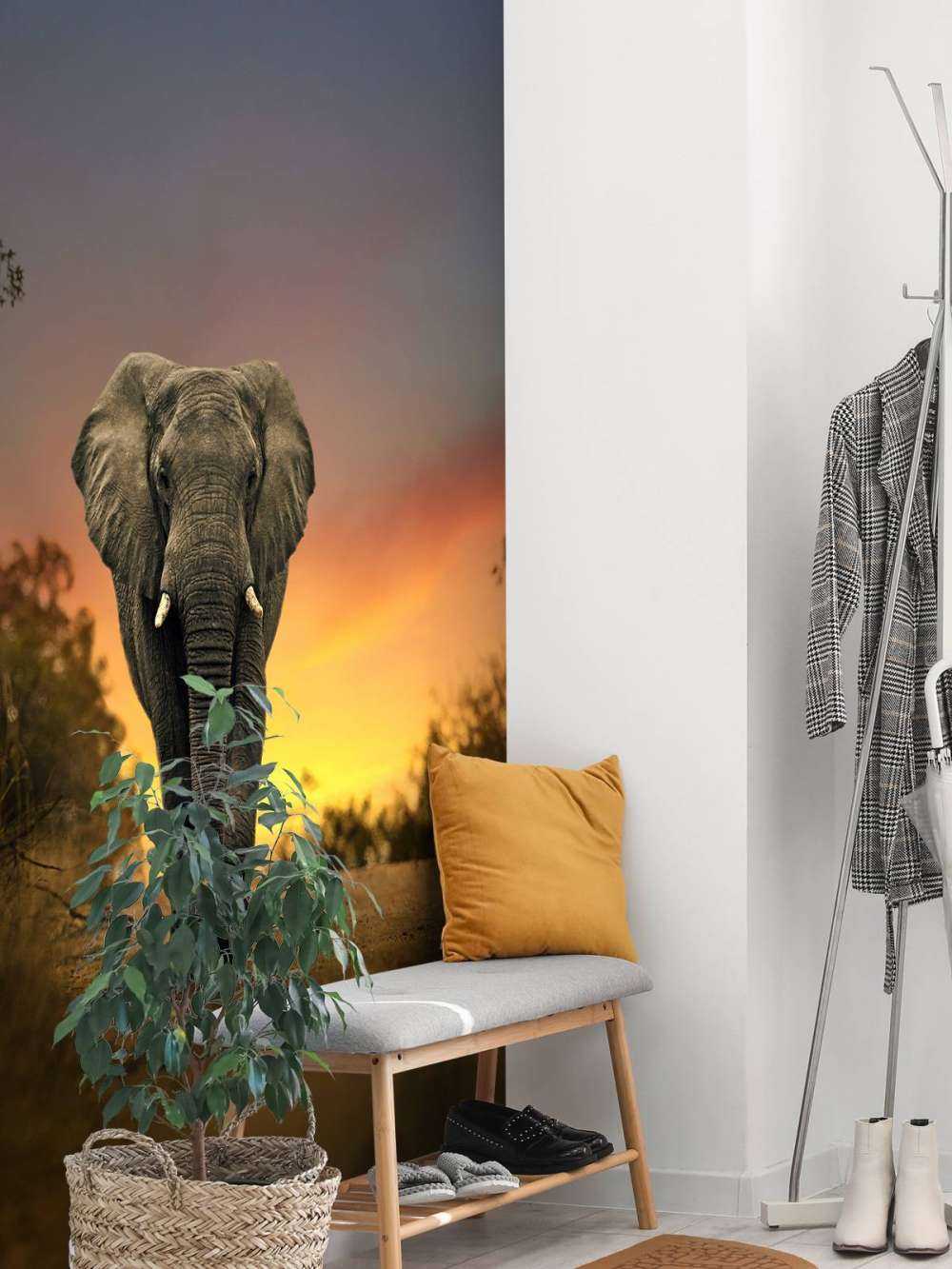 Elefant mit Sonnenuntergang