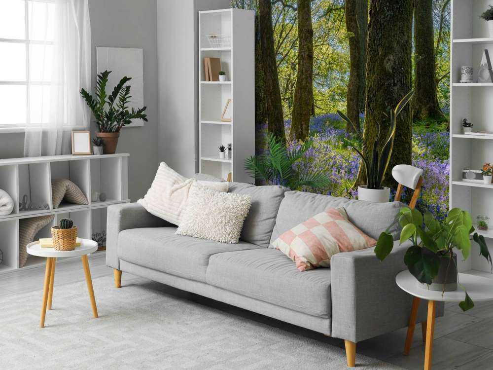 Panorama des Frühlings im Wald