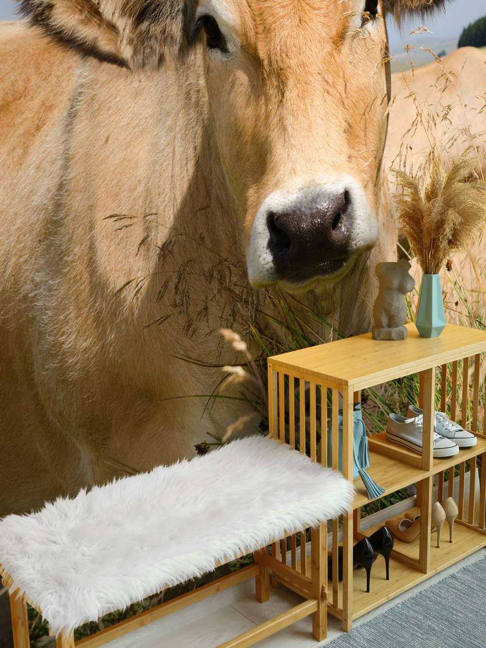 Kuh mit Hörnern