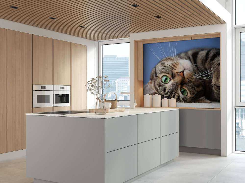 Rollende Katze