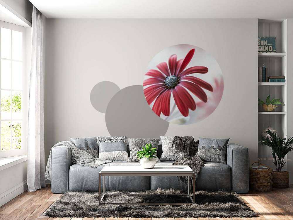 Red Daisy