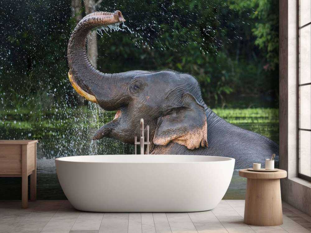 Elefant im Wasser