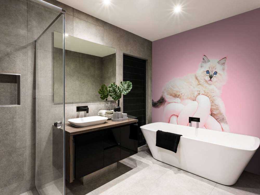 Weiße Katze auf rosa Hintergrund