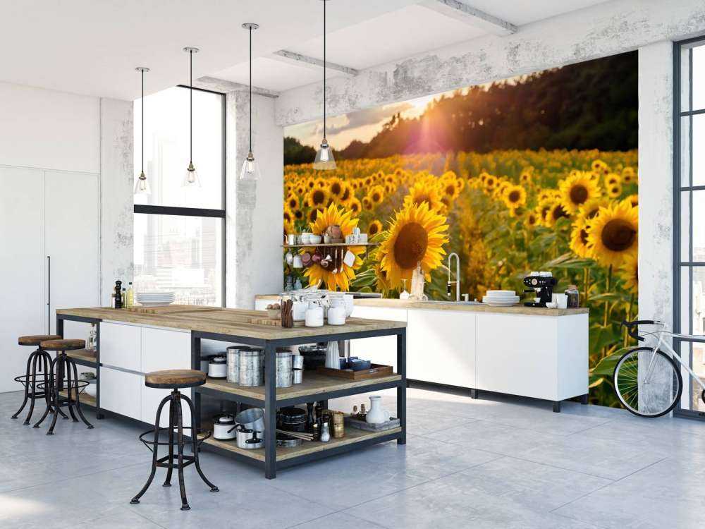 Sonnenblumen-Farm