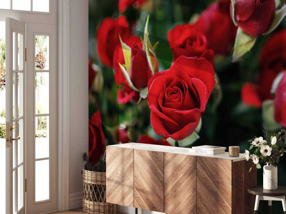 Roter Rosenstrauch