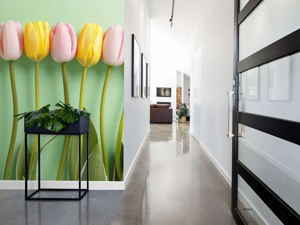Tulpen auf minzgrüner Hintergrund