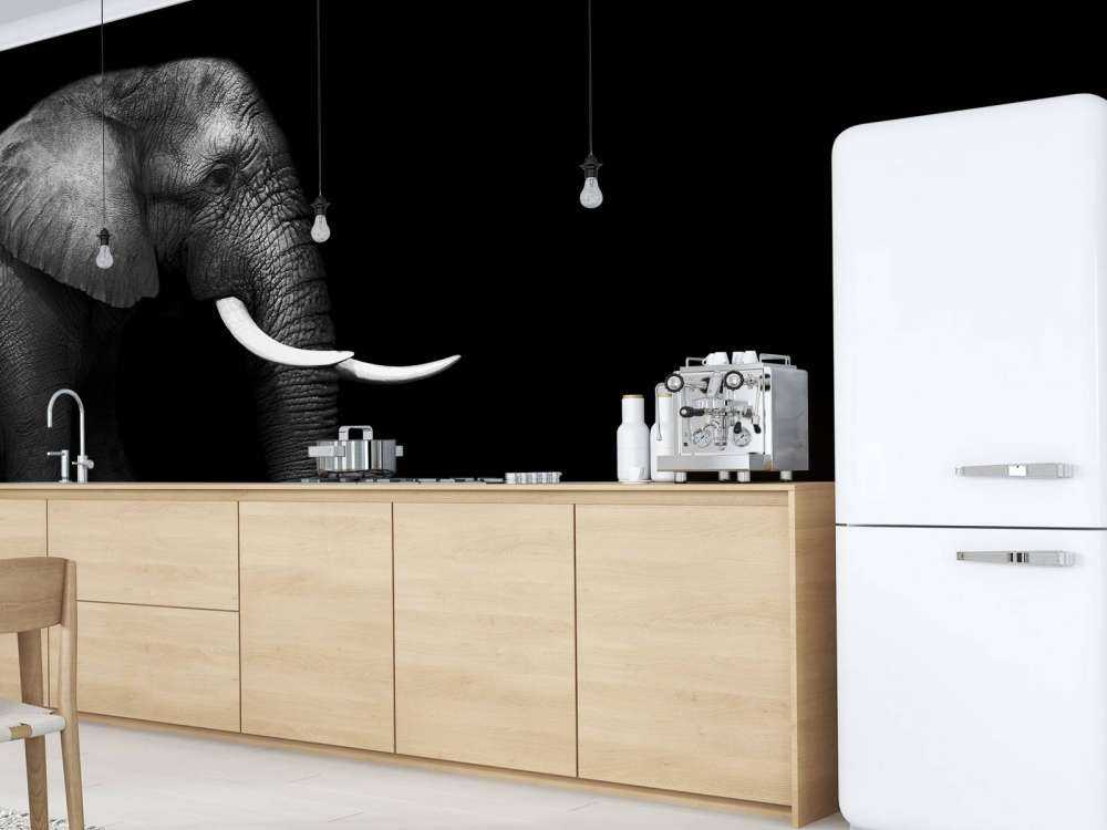 Elefant auf Gras