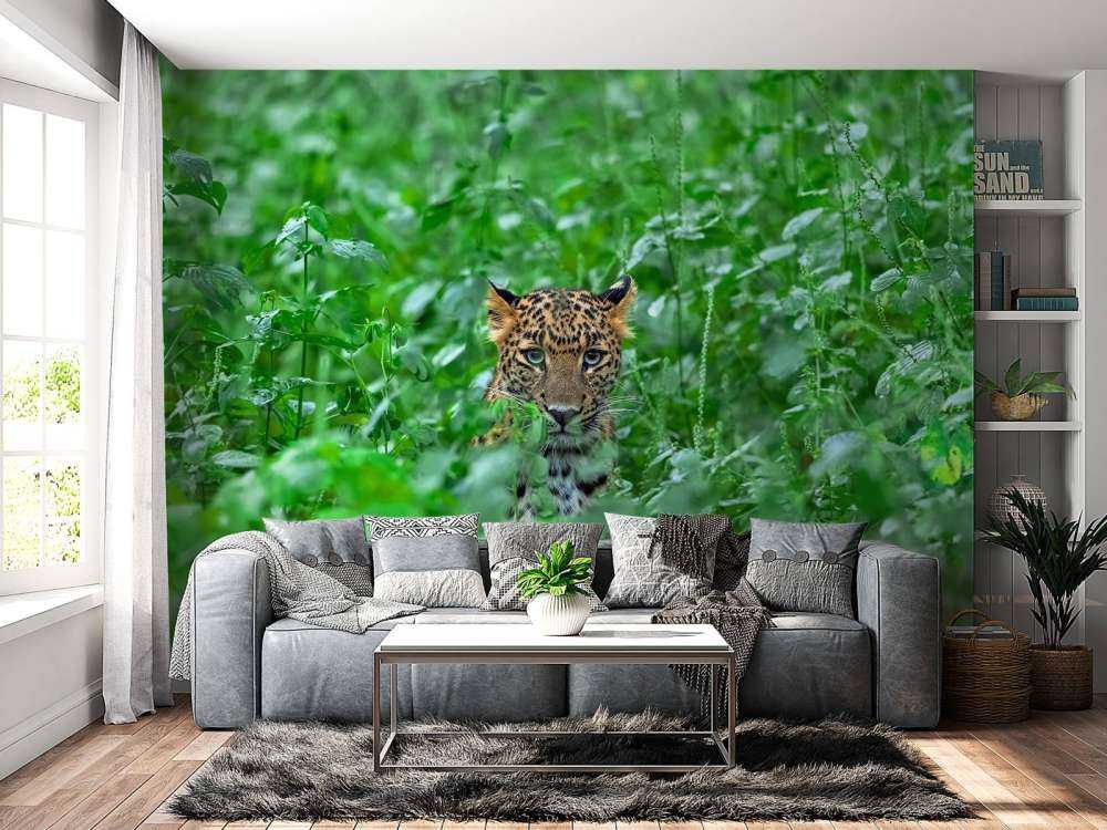 Leopard im Wald