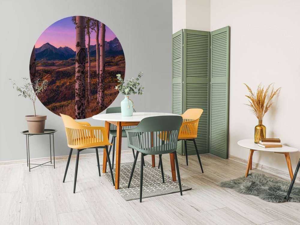 Aspen Frames