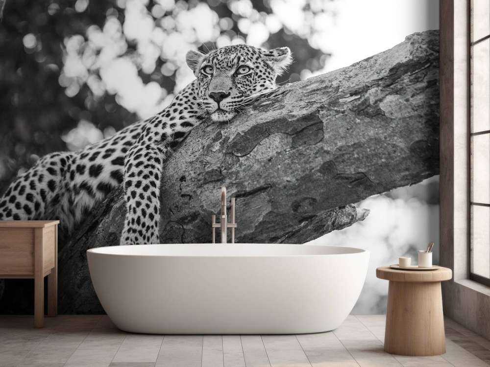 Ruhender Leopard