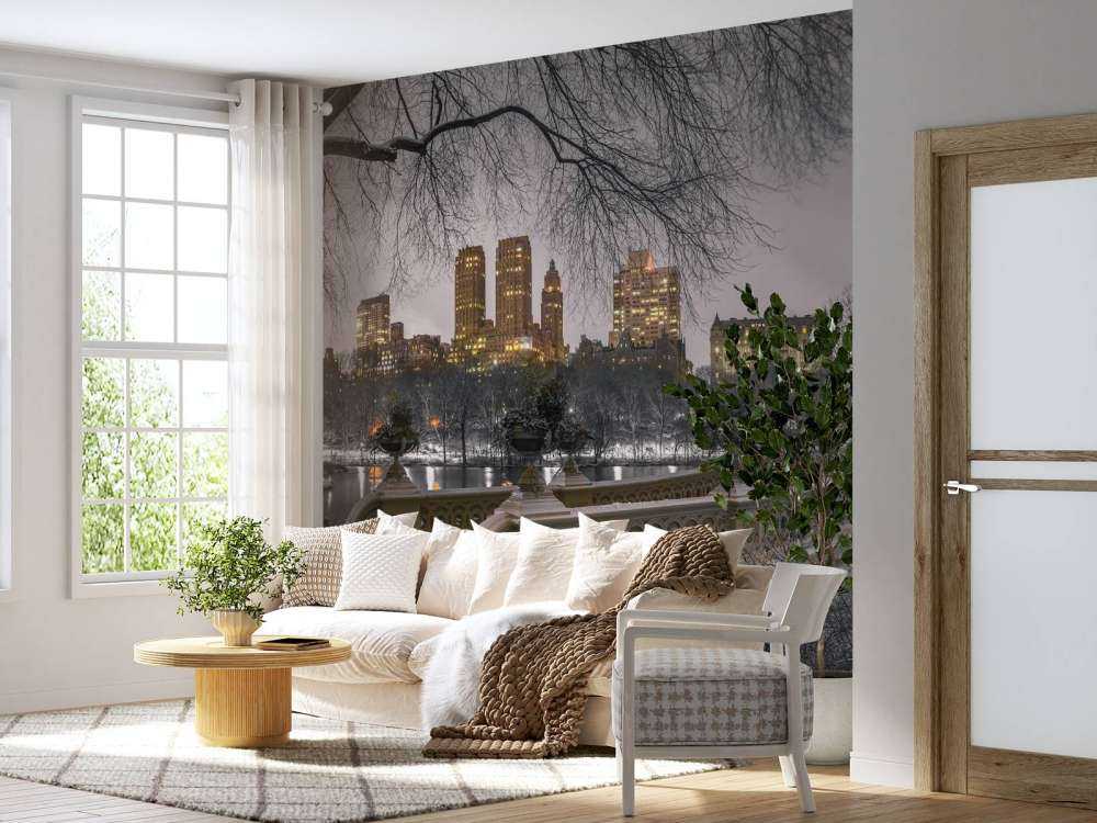 Central Park und Manhattan