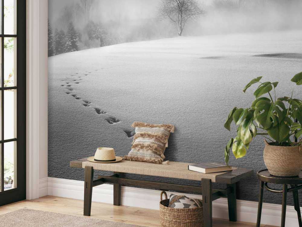 Winter scenery